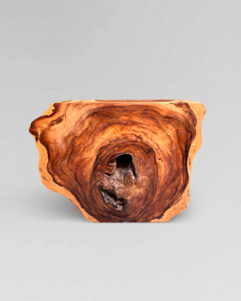 Acacia Console 14