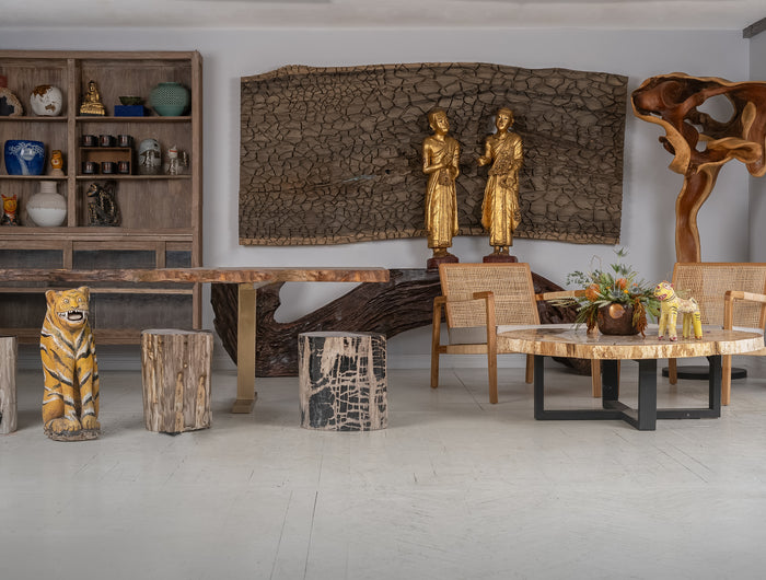 <h1>Step Into Our World</h1>