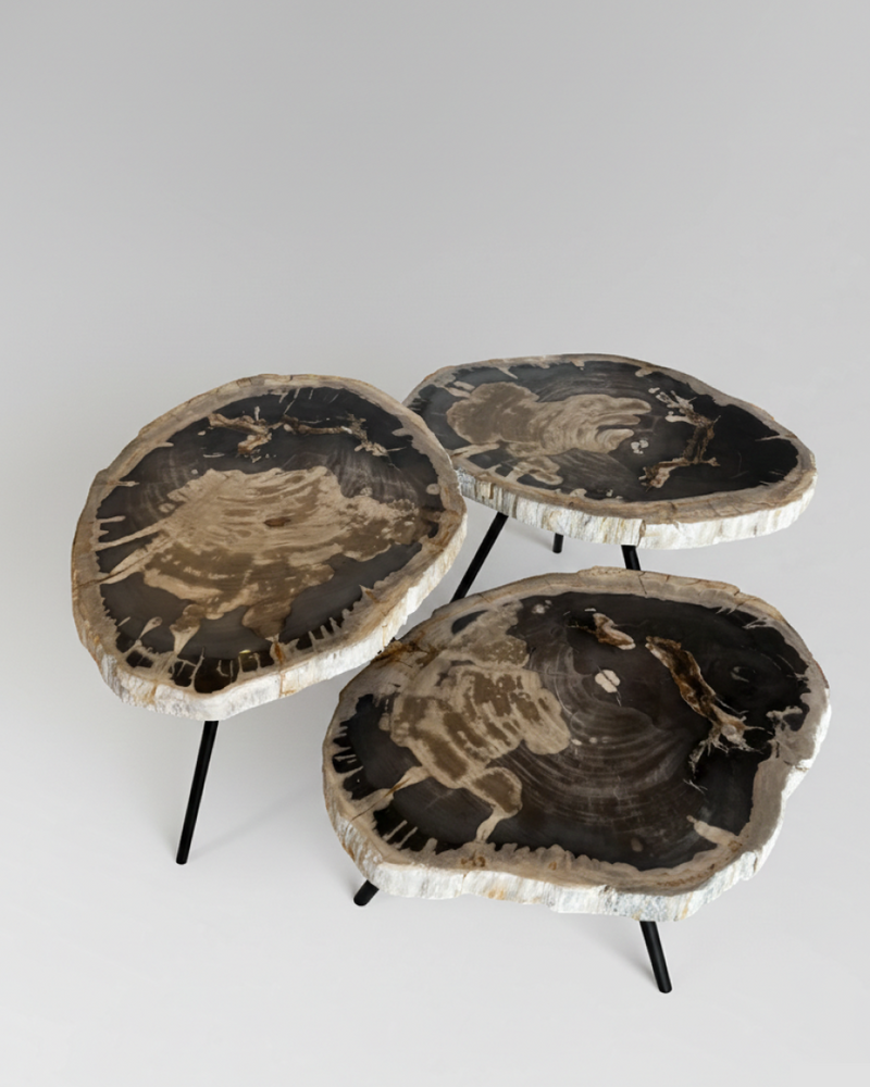 Petrified Wood Nesting Coffee Table