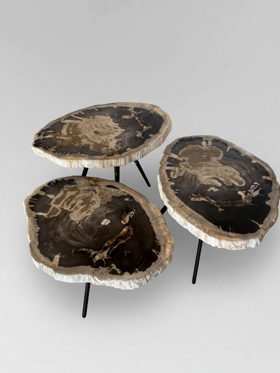 Petrified Wood Nesting Coffee Table