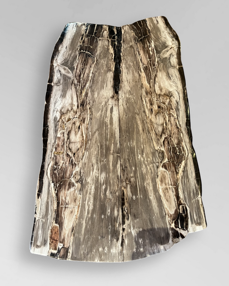 Petrified Wood Coffee Table 1