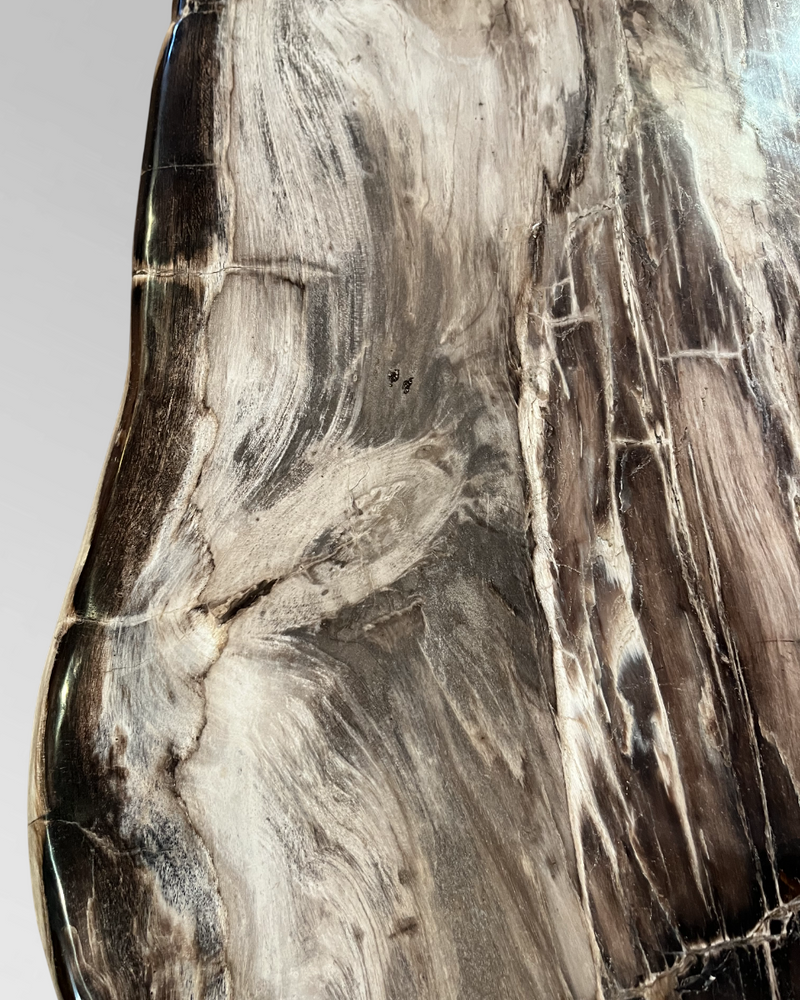 Petrified Wood Coffee Table 1