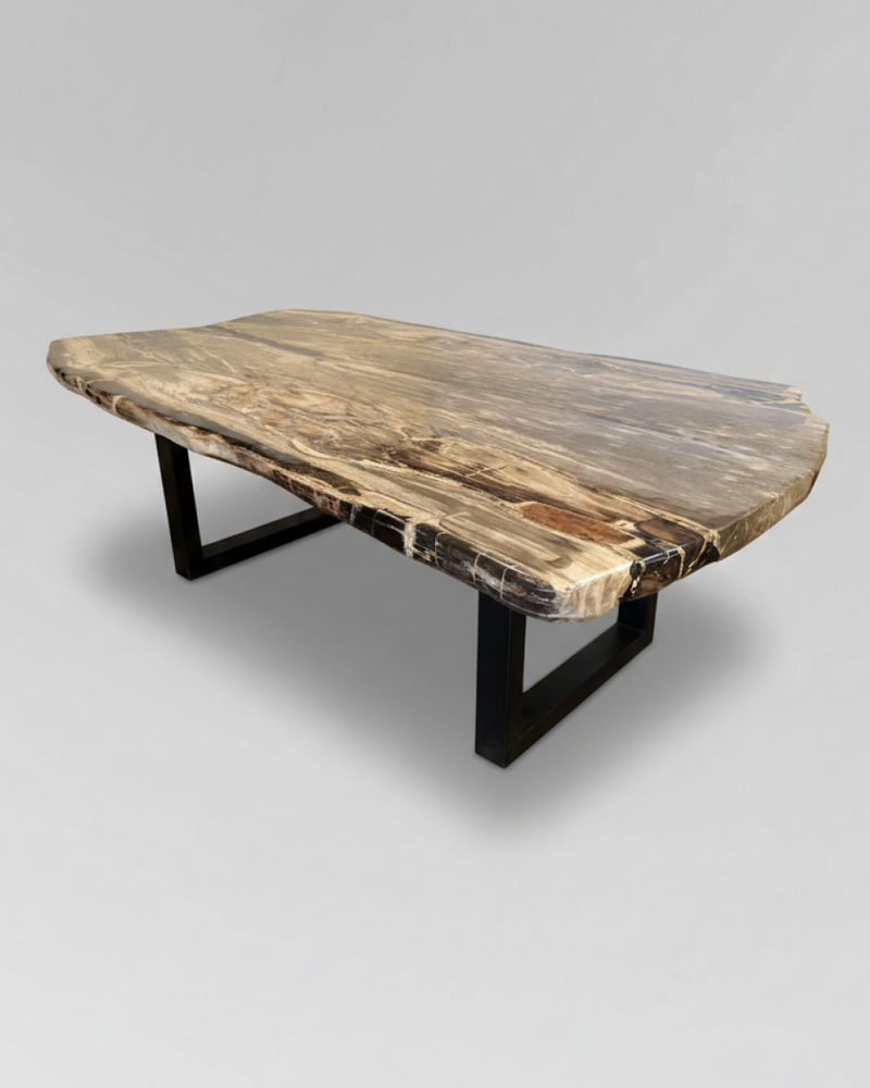 Petrified Wood Coffee Table 1