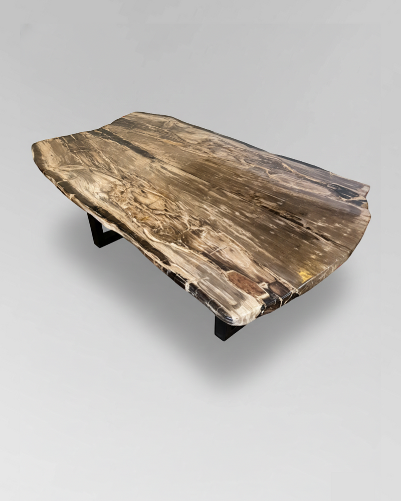 Petrified Wood Coffee Table 1