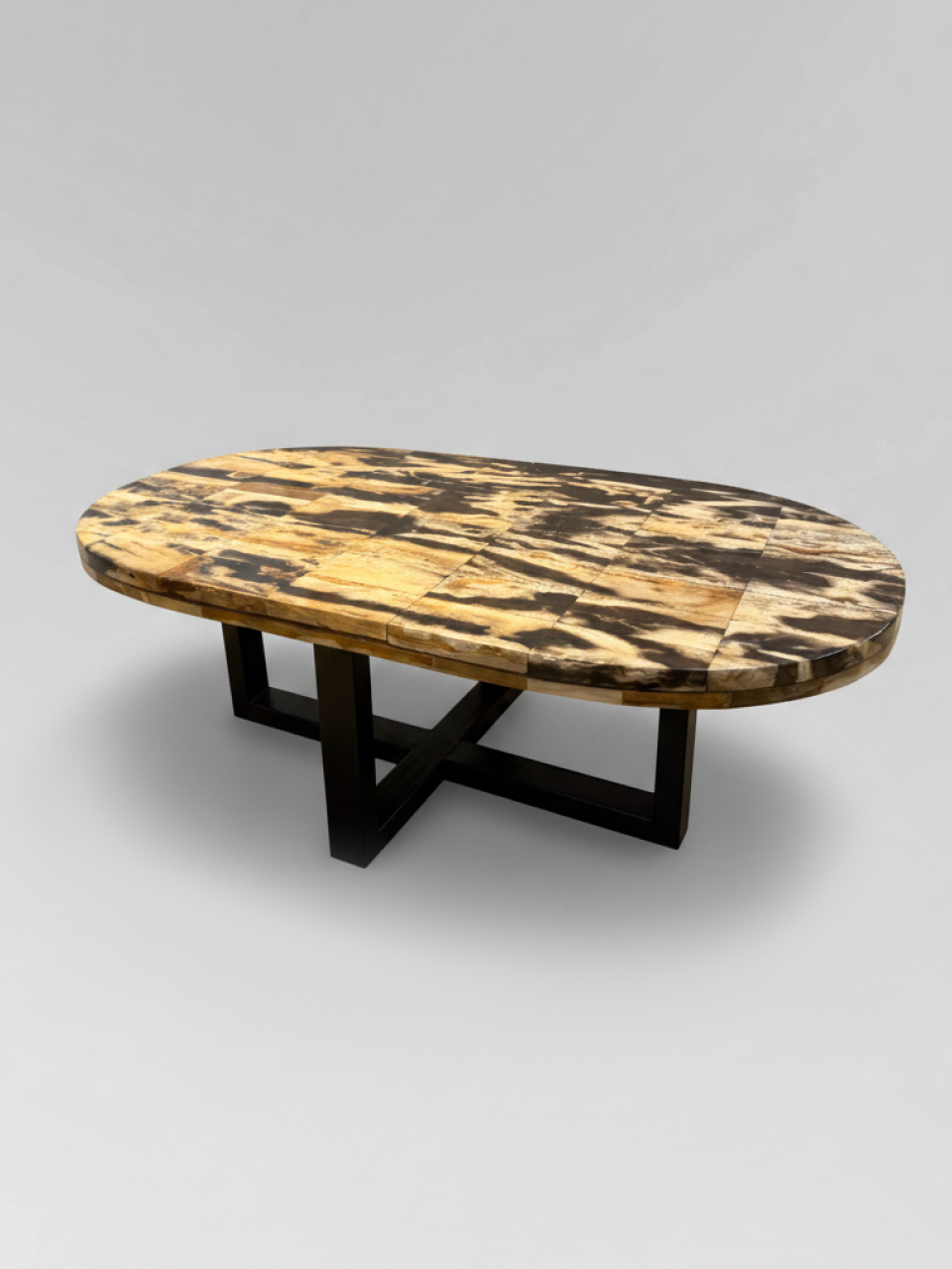 Petrified Wood Coffee Table 10