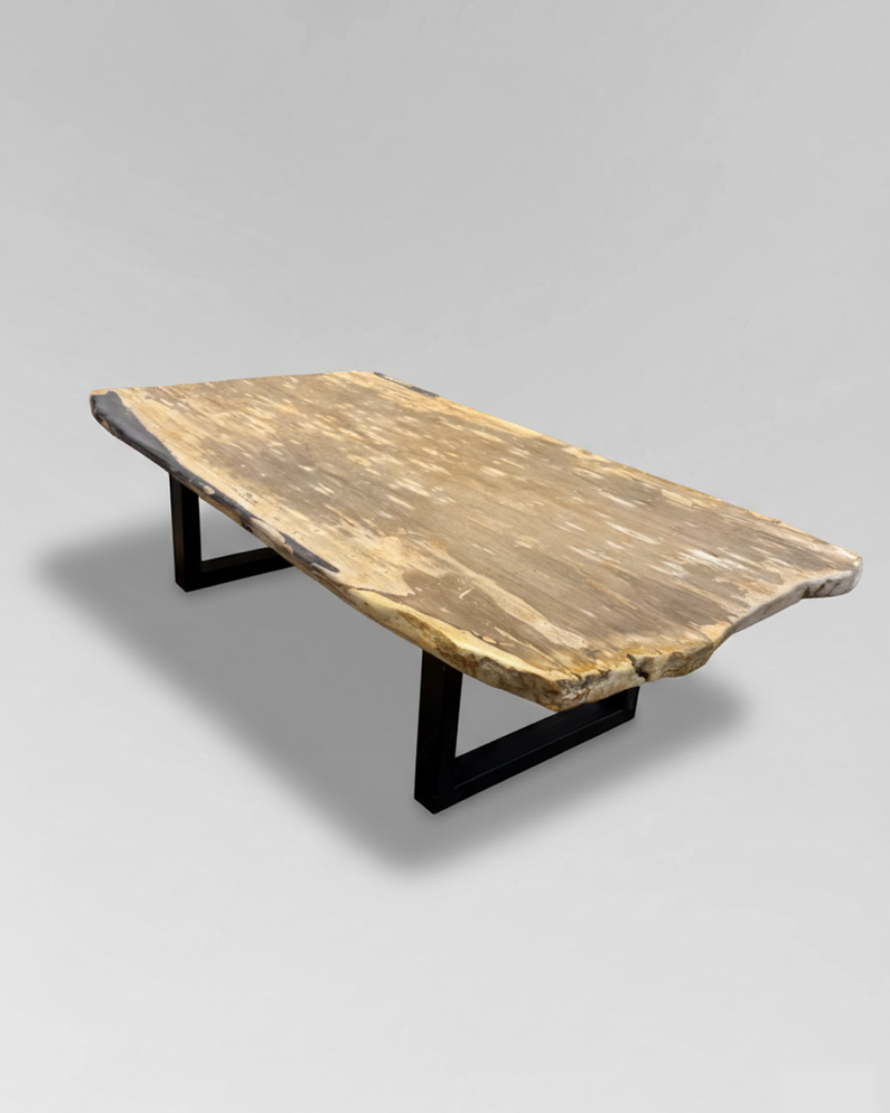 Petrified Wood Coffee Table 11