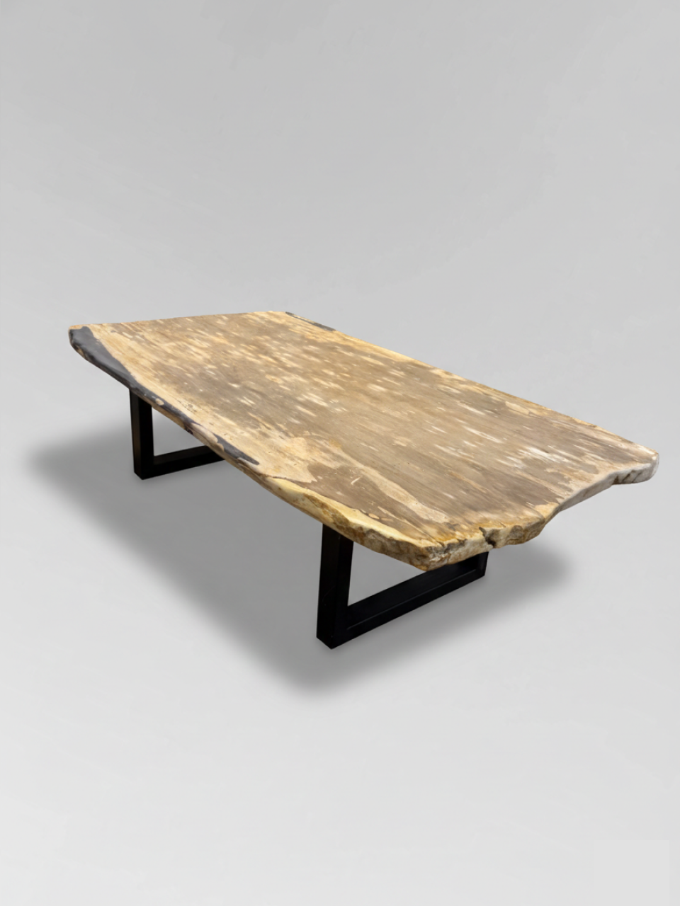 Petrified Wood Coffee Table 11