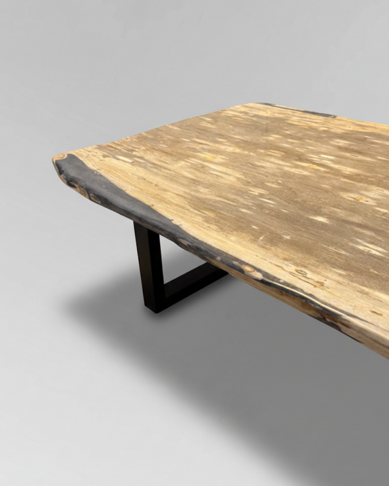 Petrified Wood Coffee Table 11