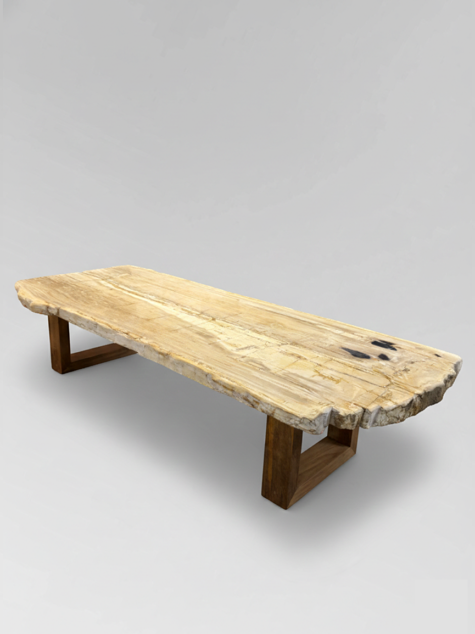 Petrified Wood Coffee Table 12