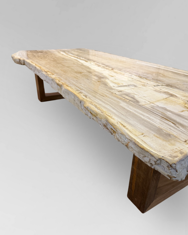 Petrified Wood Coffee Table 12