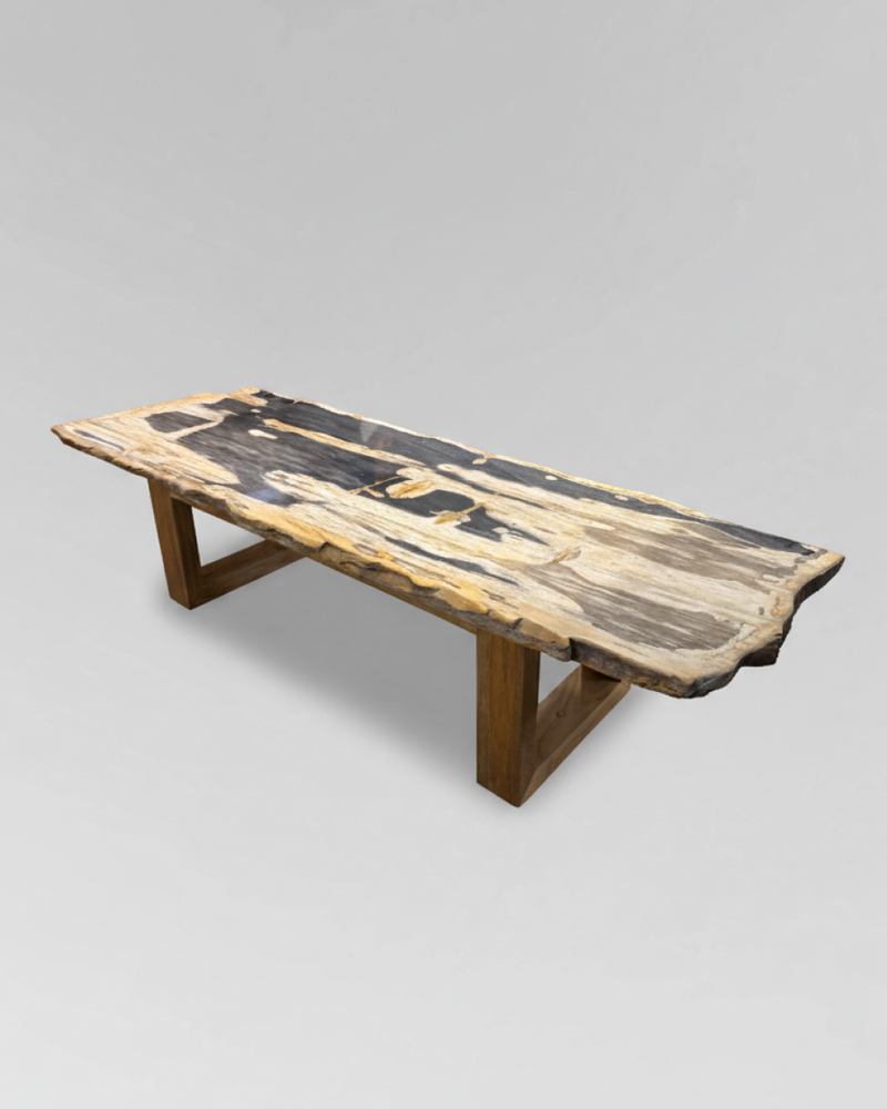 Petrified Wood Coffee Table 13