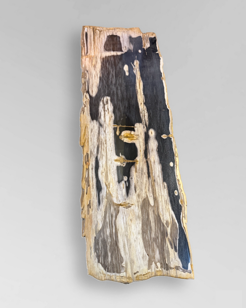 Petrified Wood Coffee Table 13