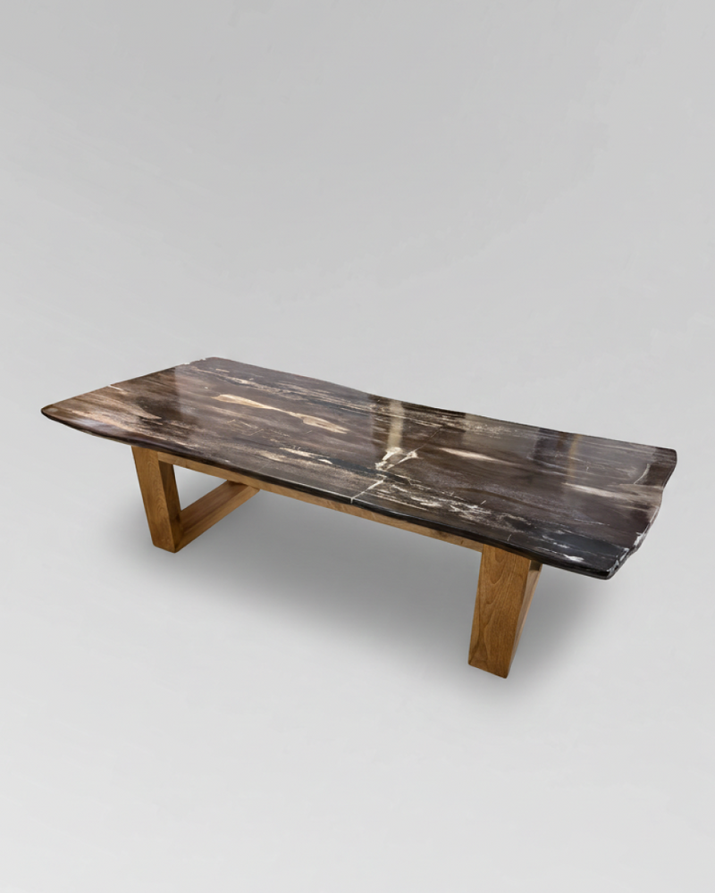 Petrified Wood Coffee Table 14