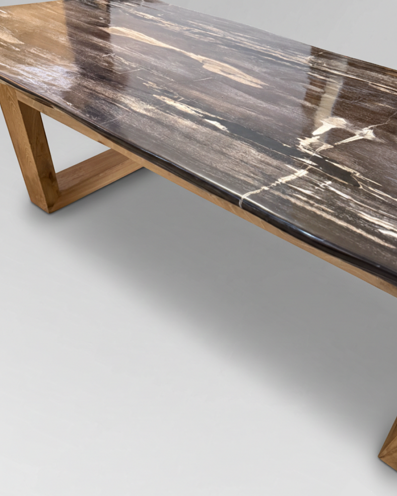 Petrified Wood Coffee Table 14