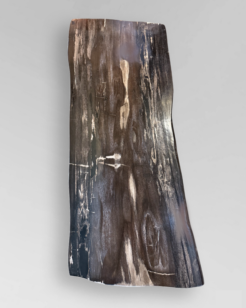 Petrified Wood Coffee Table 14