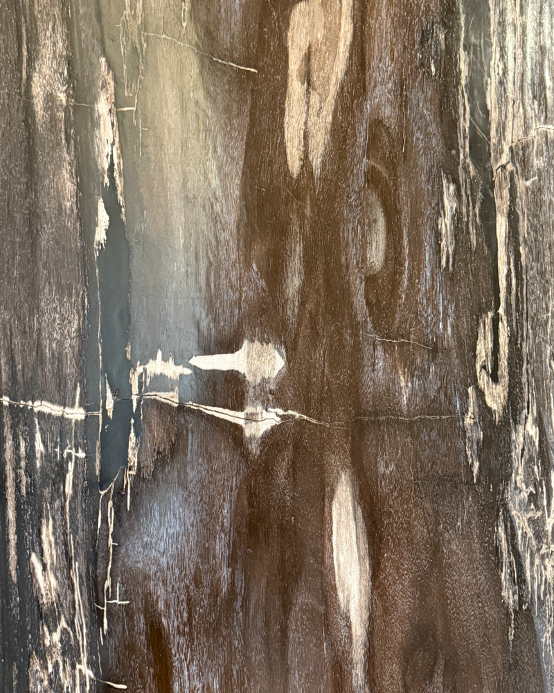 Petrified Wood Coffee Table 14