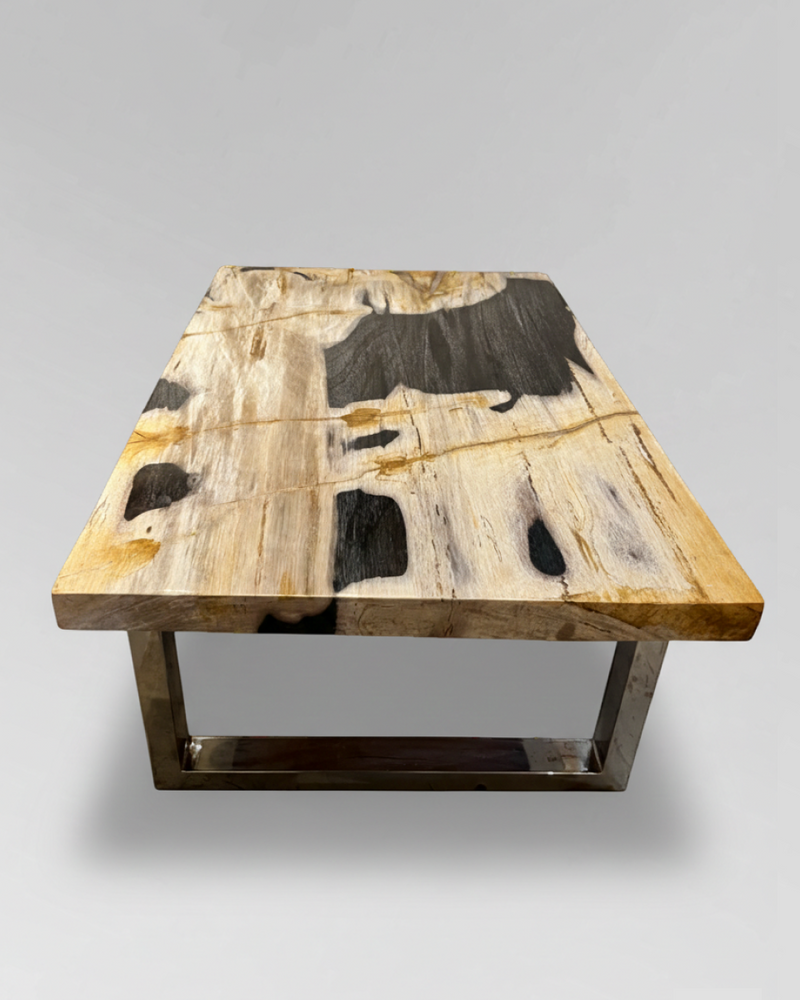 Petrified Wood Coffee Table 2
