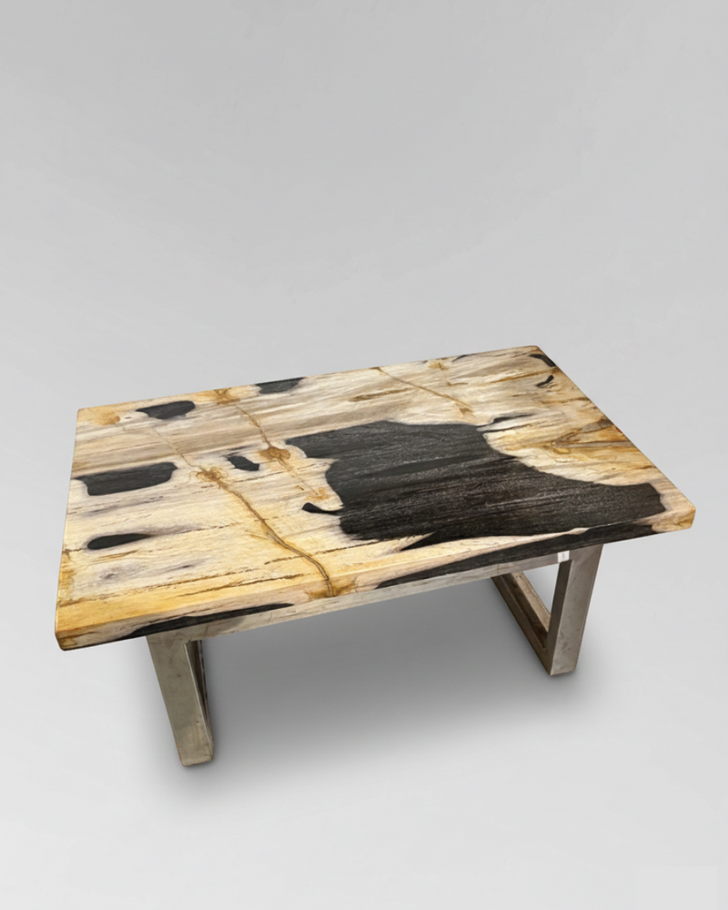Petrified Wood Coffee Table 2