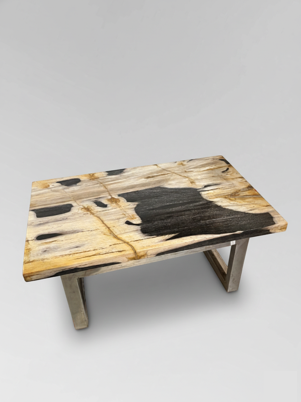 Petrified Wood Coffee Table 2