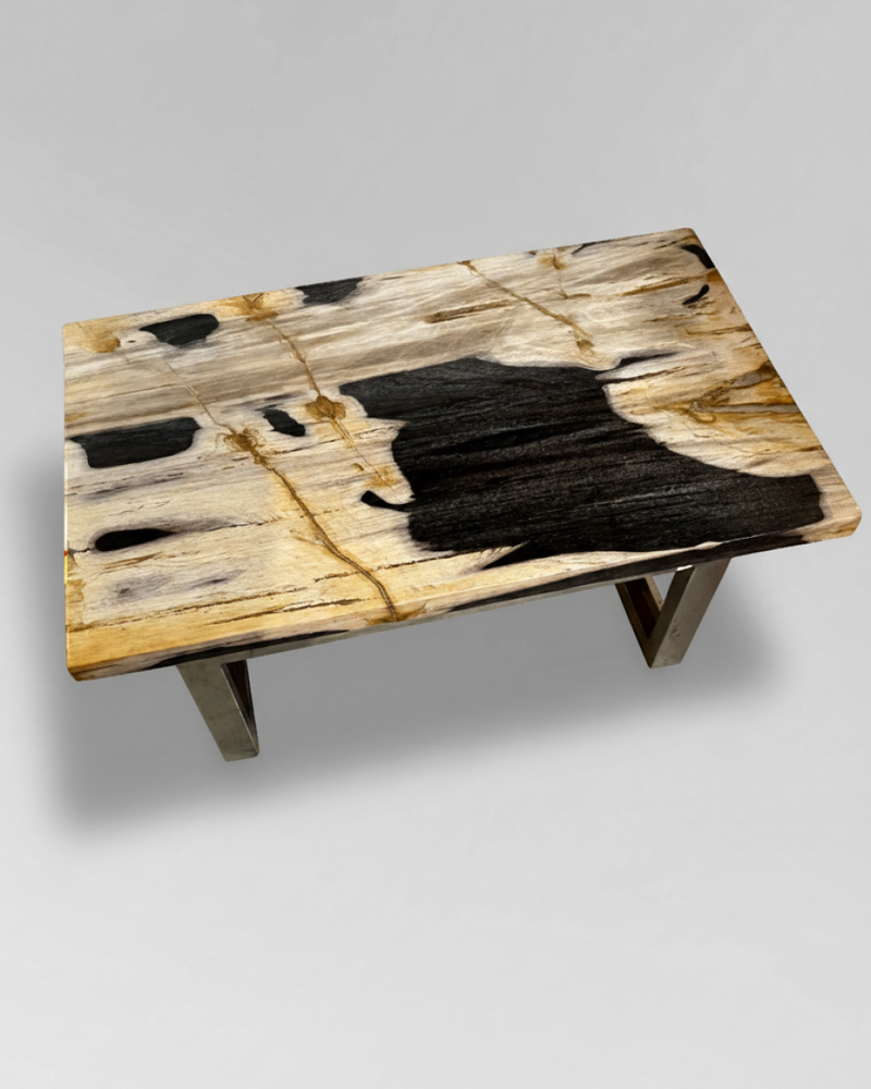 Petrified Wood Coffee Table 2