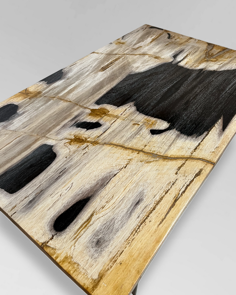 Petrified Wood Coffee Table 2