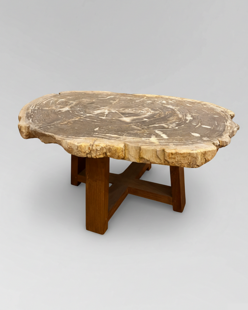 Petrified Wood Coffee Table 3