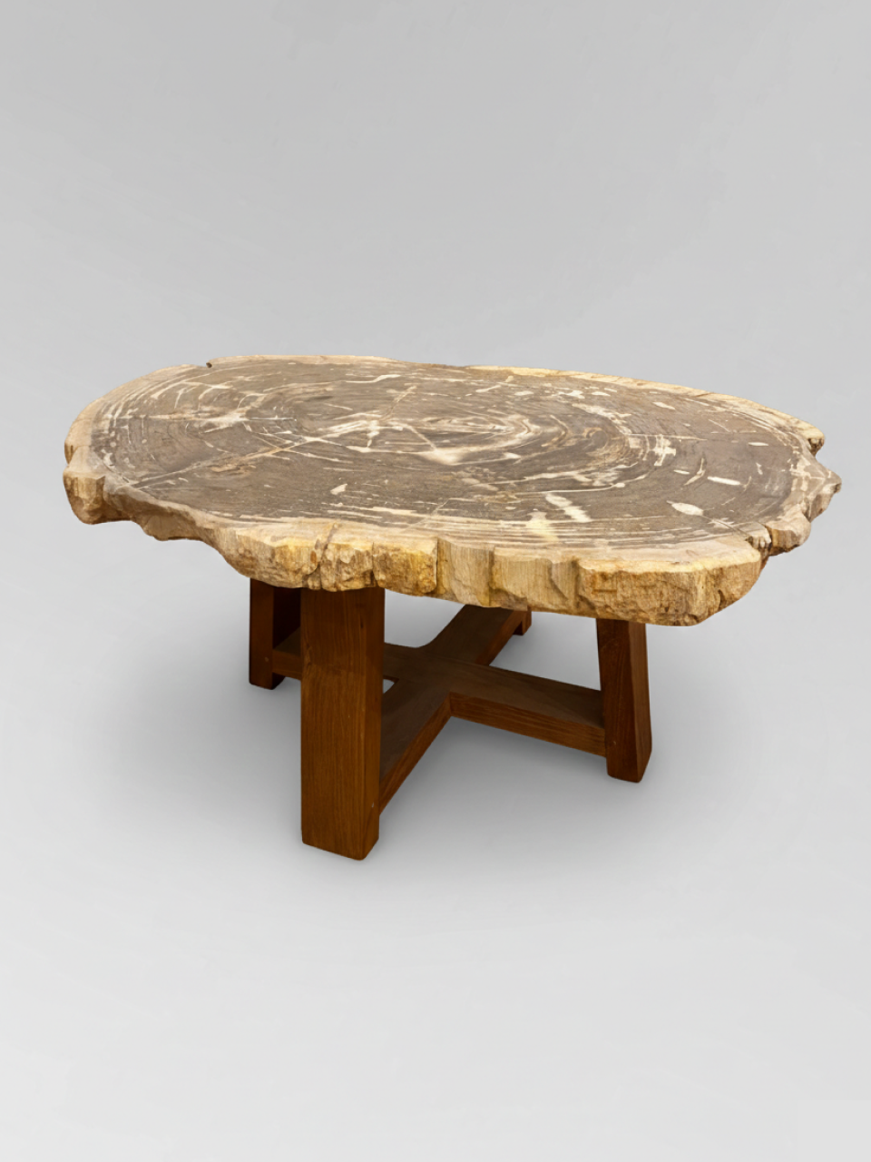 Petrified Wood Coffee Table 3