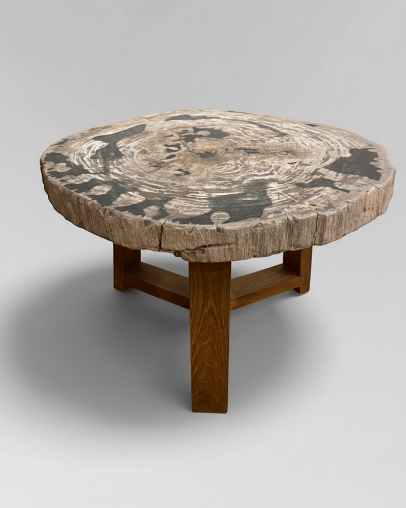 Petrified Wood Coffee Table 5