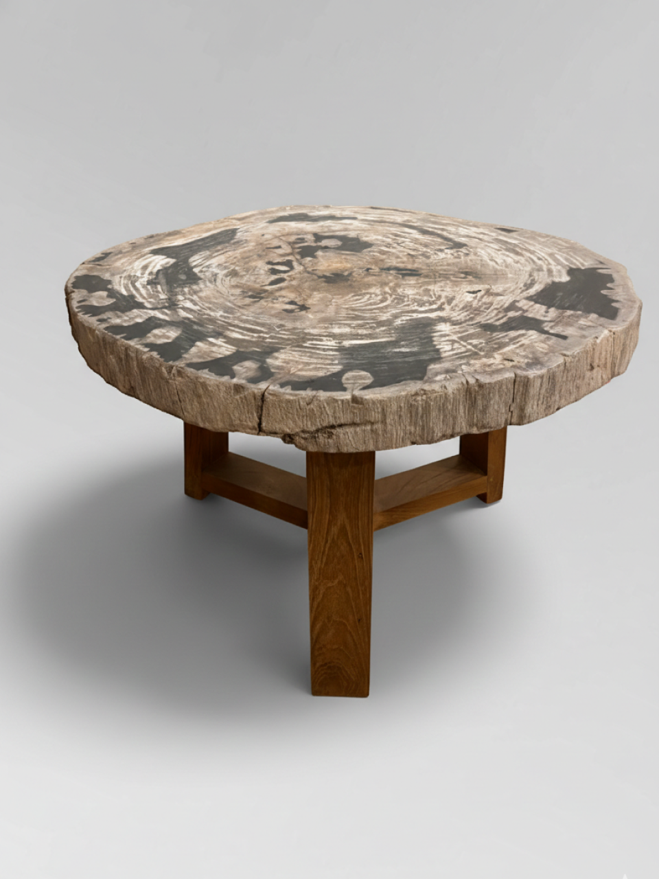 Petrified Wood Coffee Table 5