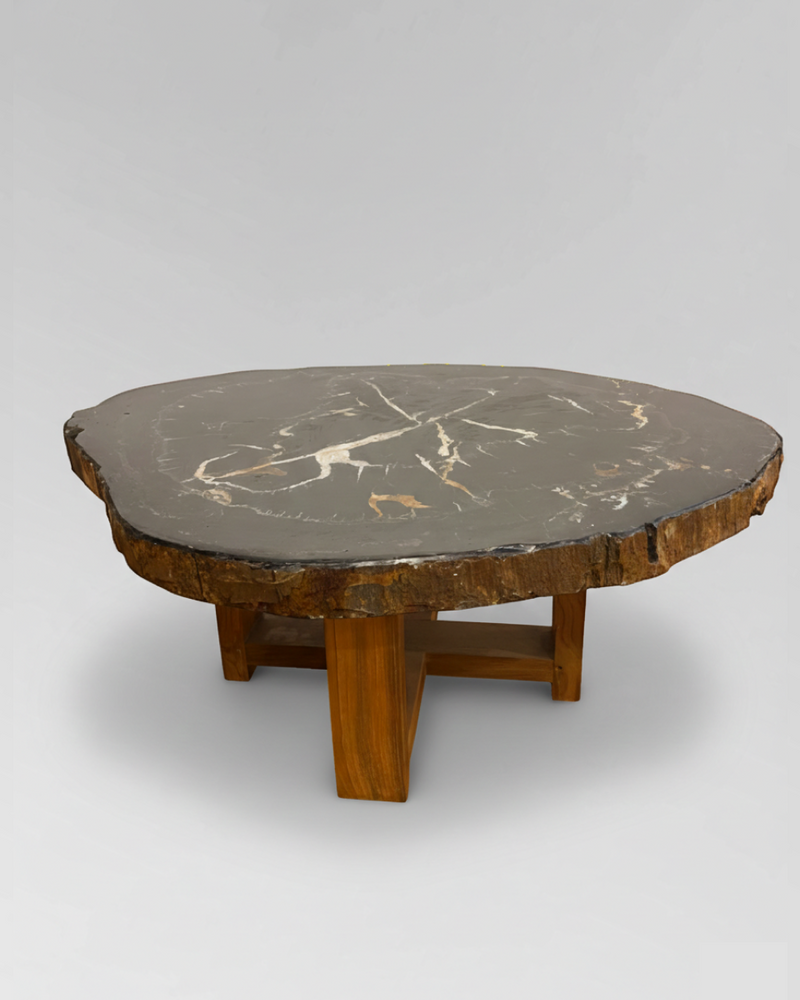 Petrified Wood Coffee Table 6