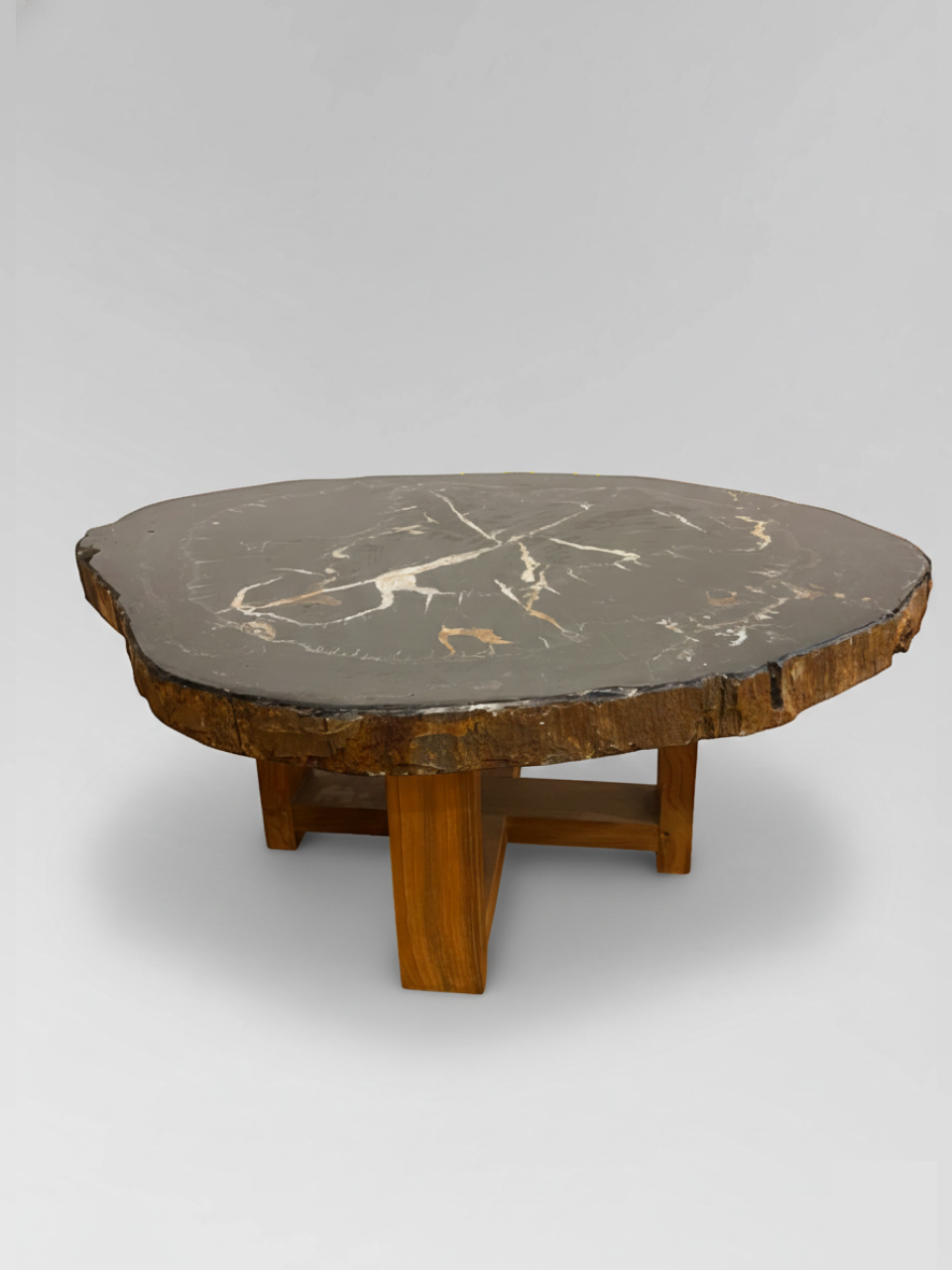 Petrified Wood Coffee Table 6