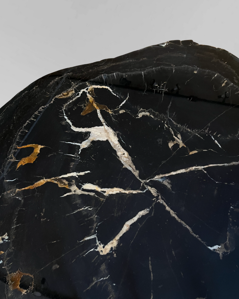 Petrified Wood Coffee Table 6