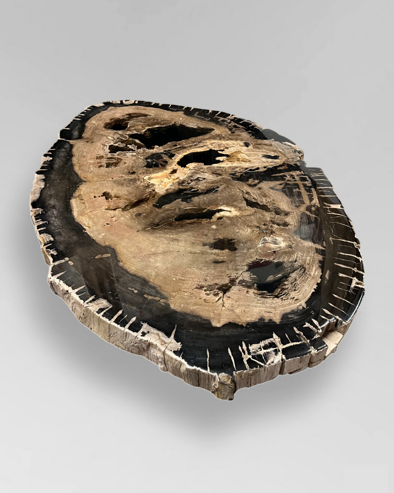 Petrified Wood Coffee Table 7