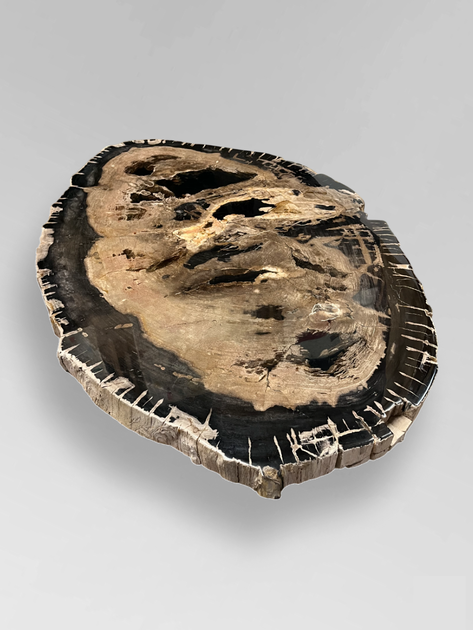 Petrified Wood Coffee Table 7
