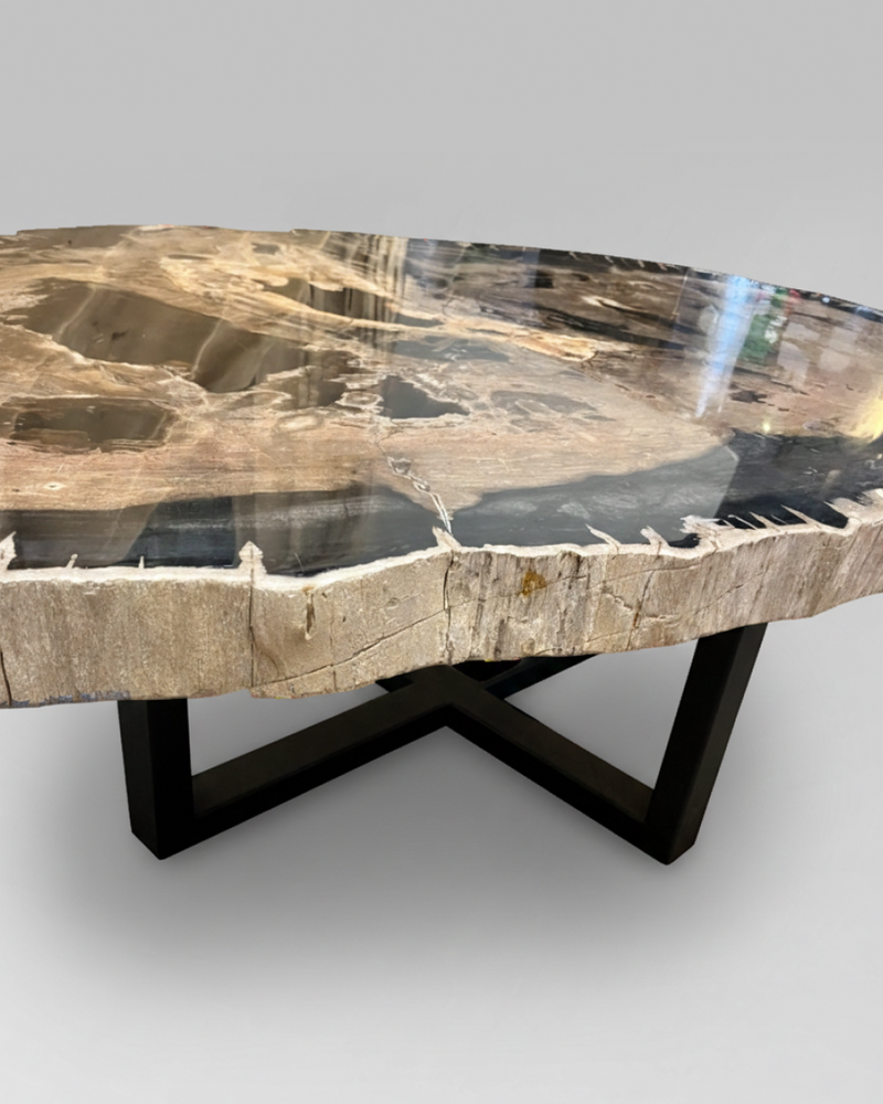 Petrified Wood Coffee Table 7