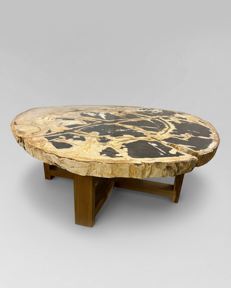 Petrified Wood Coffee Table 8