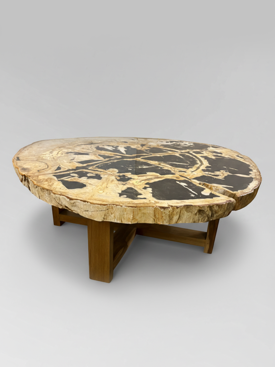 Petrified Wood Coffee Table 8