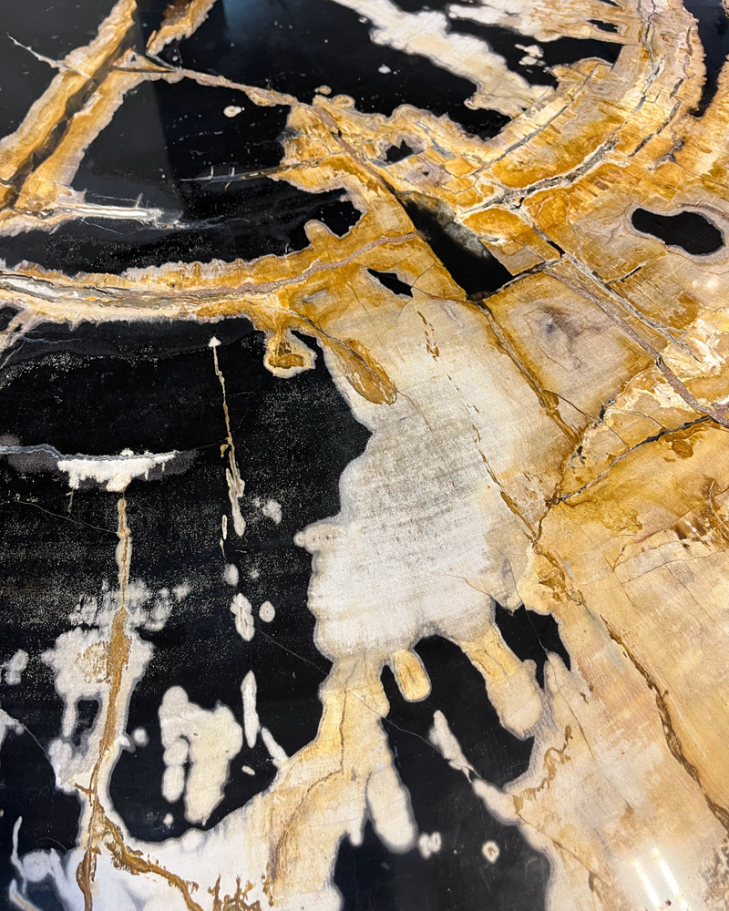 Petrified Wood Coffee Table 8