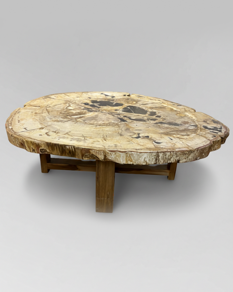 Petrified Wood Coffee Table 9