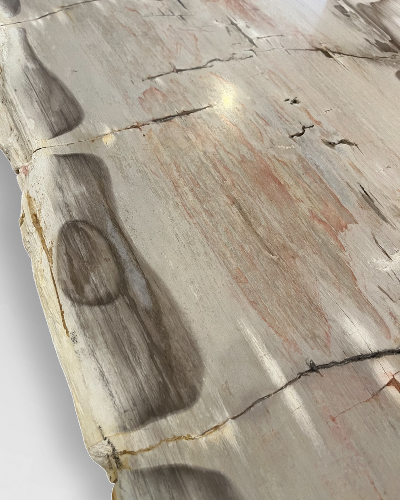Petrified Wood Coffee Table 4