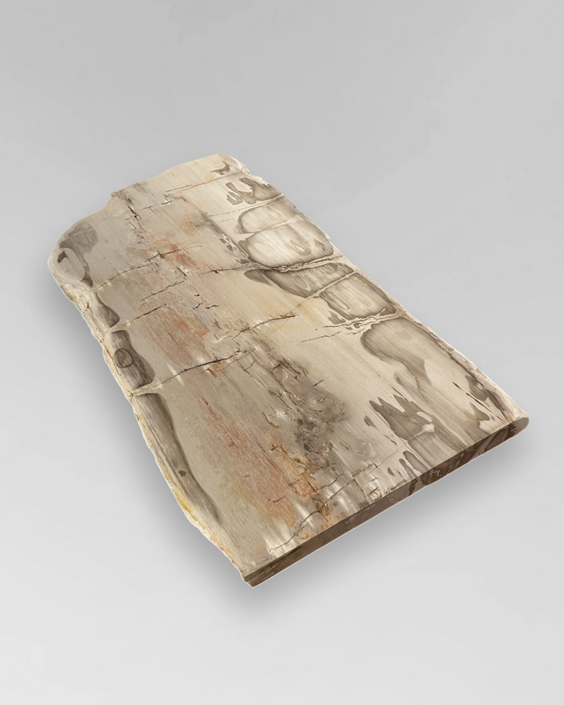 Petrified Wood Coffee Table 4