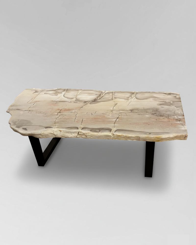 Petrified Wood Coffee Table 4