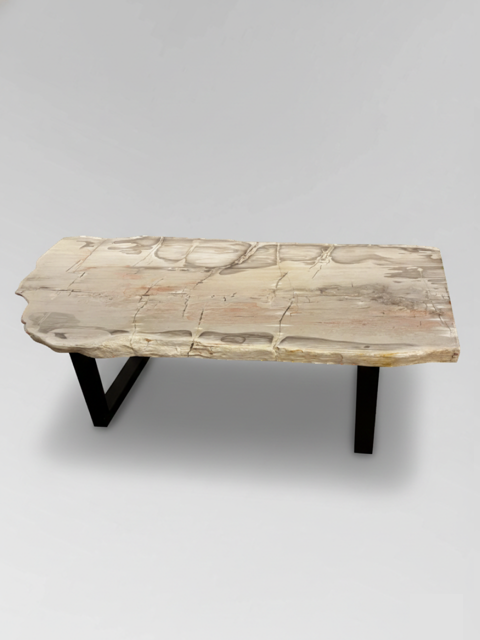 Petrified Wood Coffee Table 4