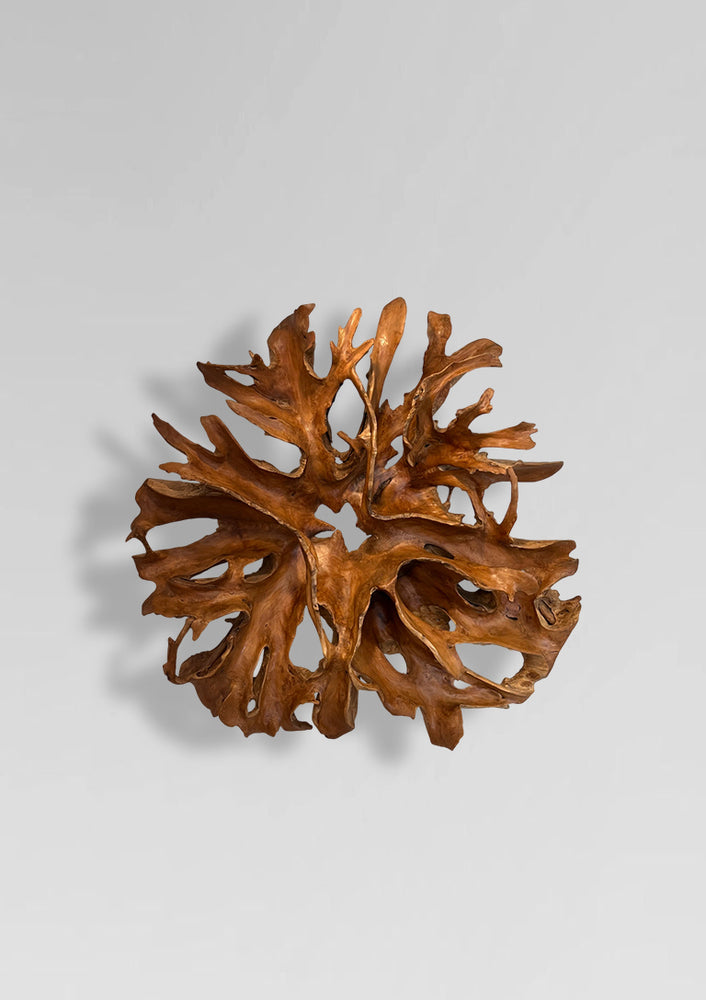 Teak Root Wall Sculpture