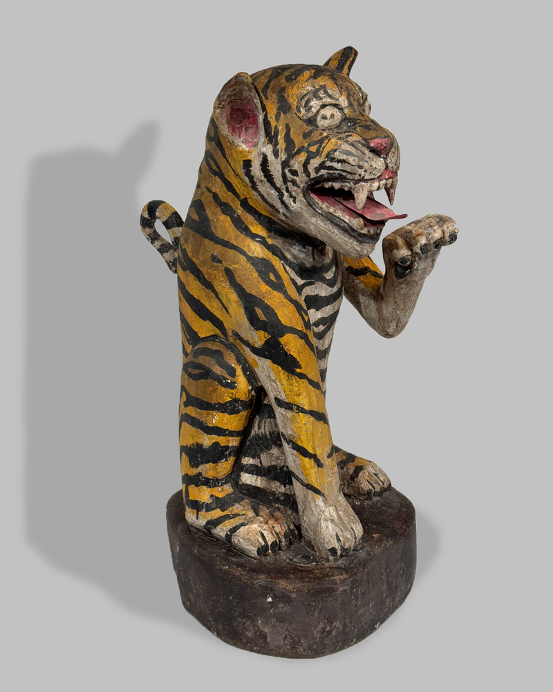 Java Tiger 10