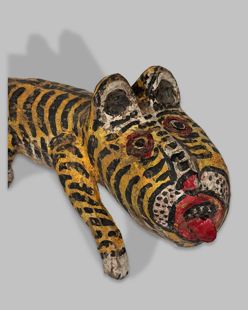 Java Tiger 13