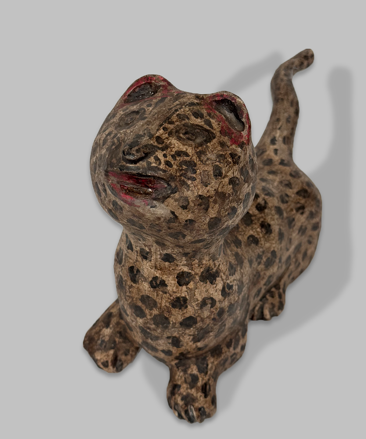 Java Tiger 16