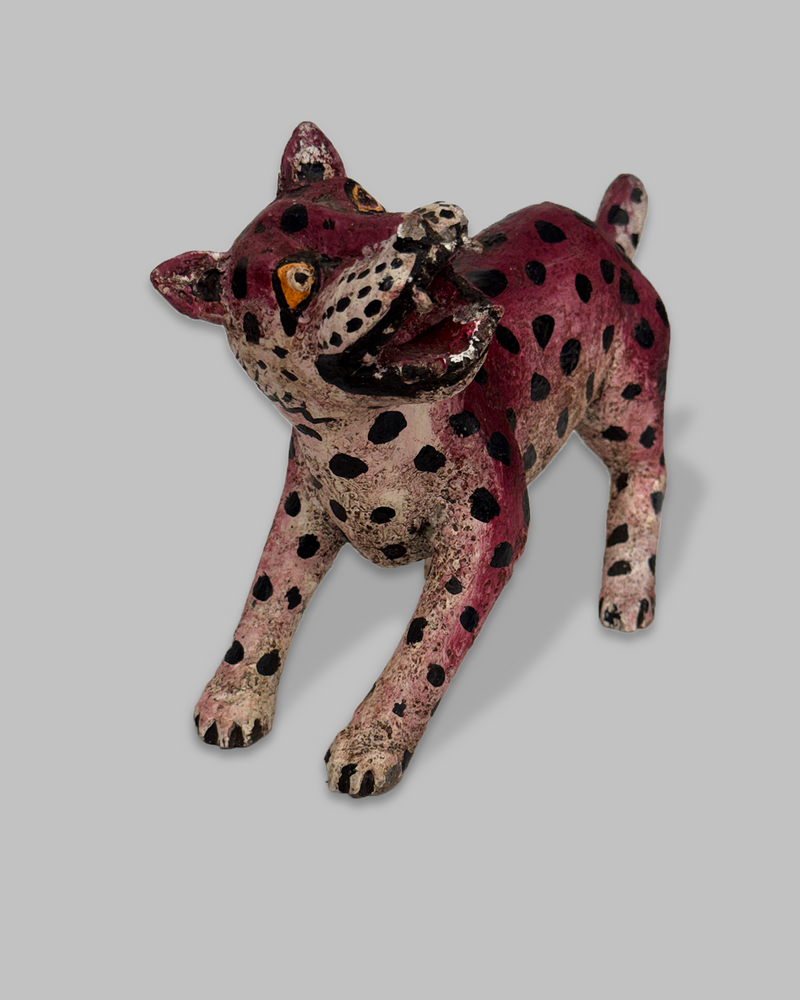 Java Tiger 17