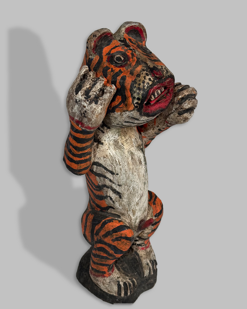 Java Tiger 24