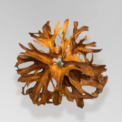 Collection image for: Modern Wood Sculptures
